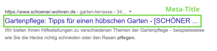 The title is located in the Google Snippet directly above the Meta-Description.